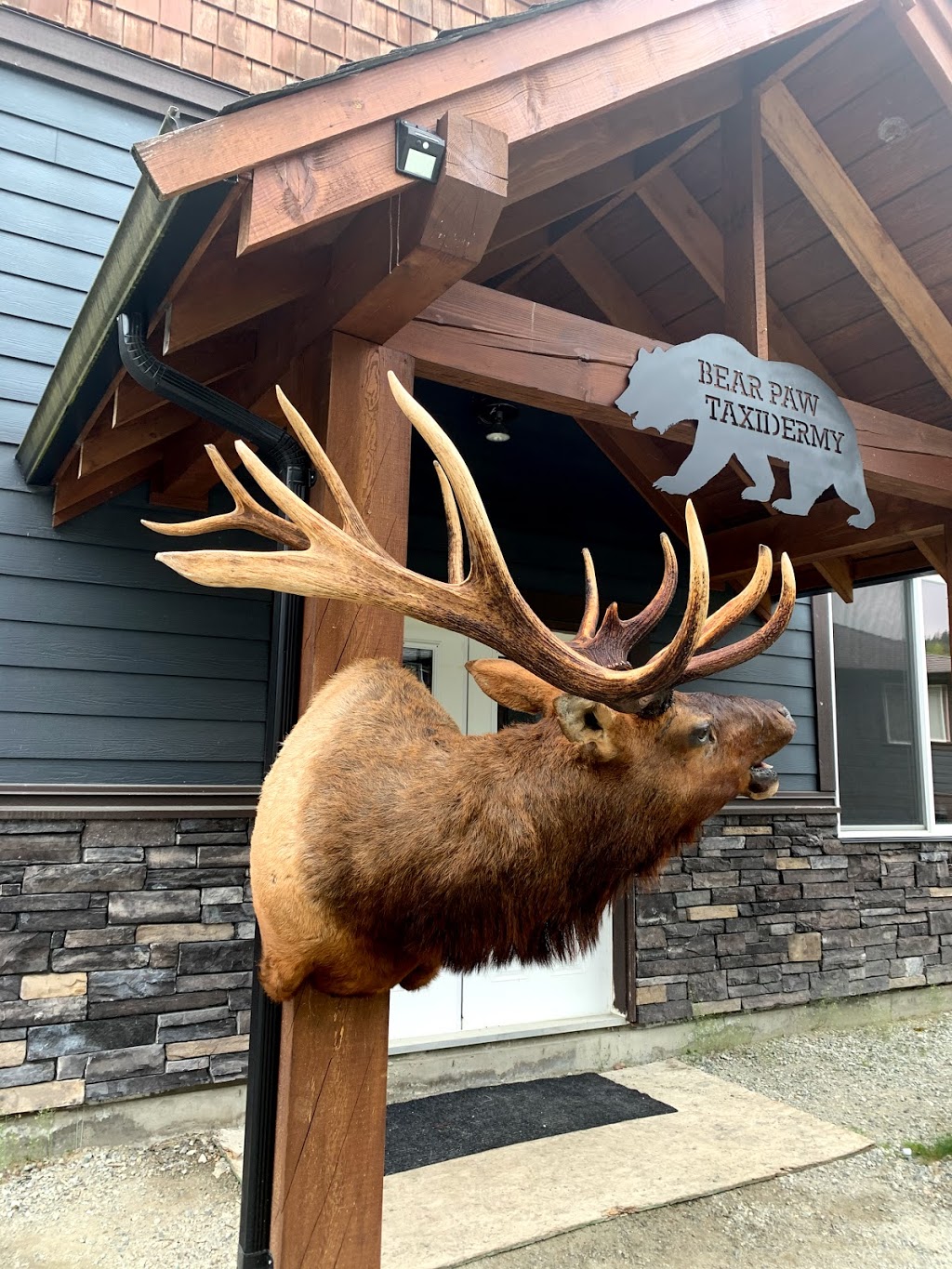 Bear Paw Taxidermy Studios | 11324 Larsen St, Mission, BC V4S 1L1, Canada | Phone: (604) 220-4277