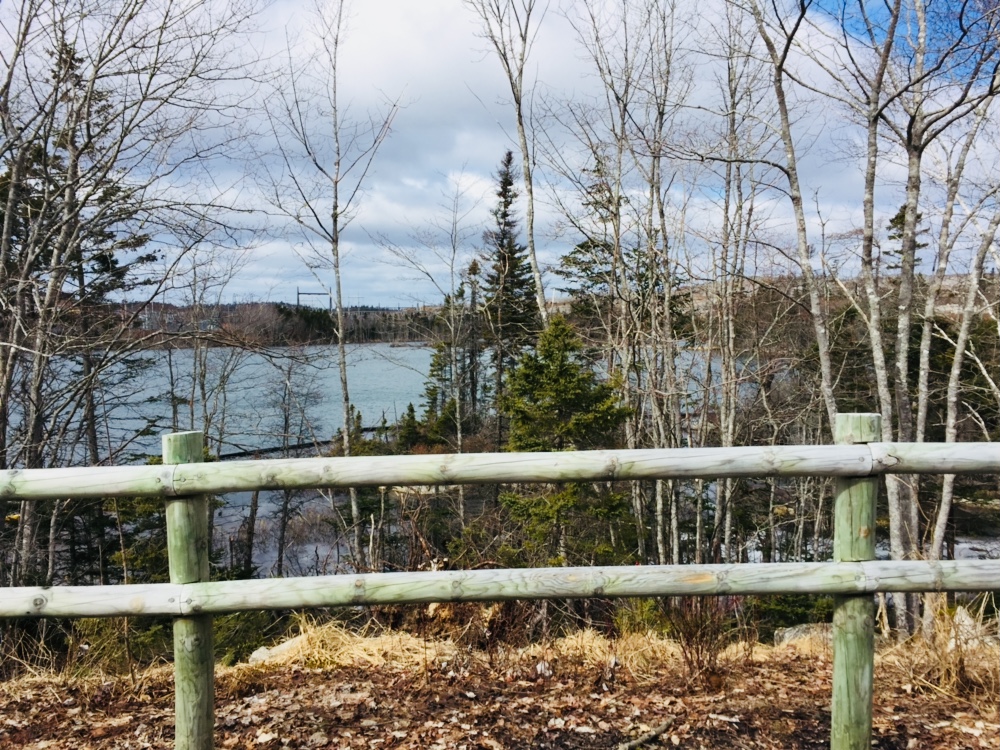 Nova Tree | 2715 NS-4, Debert, NS B0M 1G0, Canada | Phone: (902) 662-3129