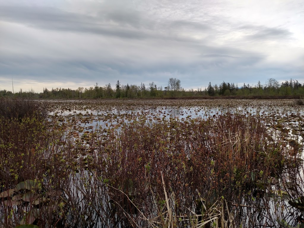Hovander Homestead Park | 5299 Nielsen Ave, Ferndale, WA 98248, USA | Phone: (360) 384-3444