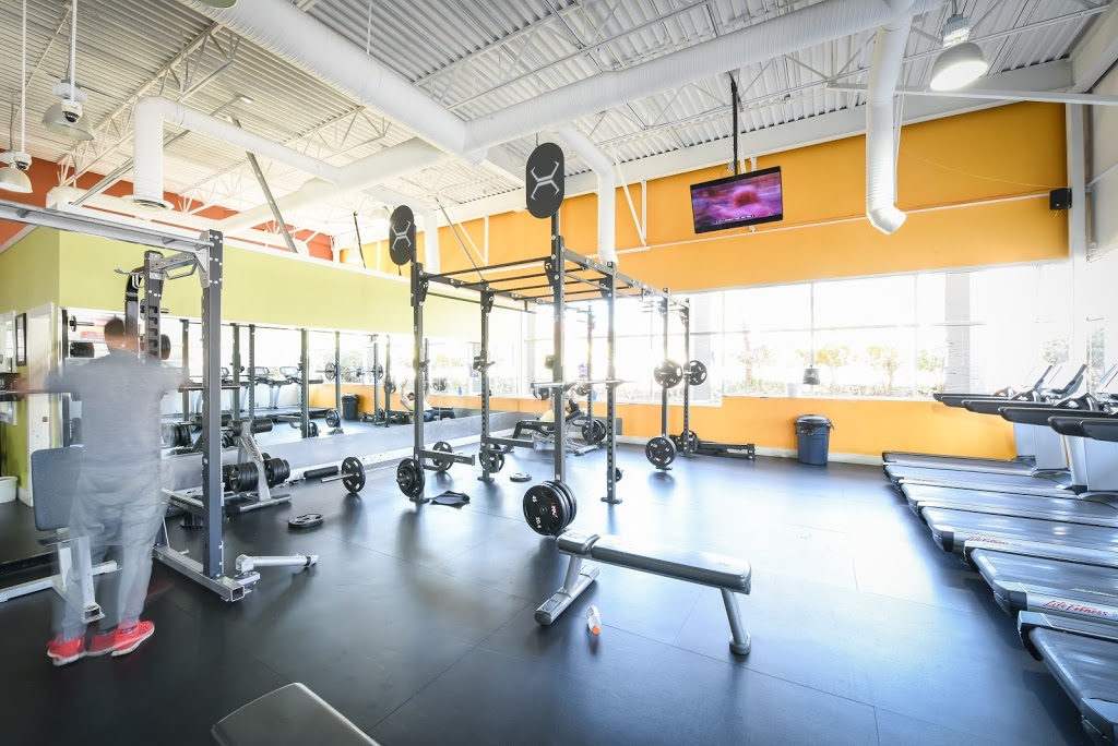 Anytime Fitness | 6350 120 St, Surrey, BC V3X 3K1, Canada | Phone: (604) 503-4737