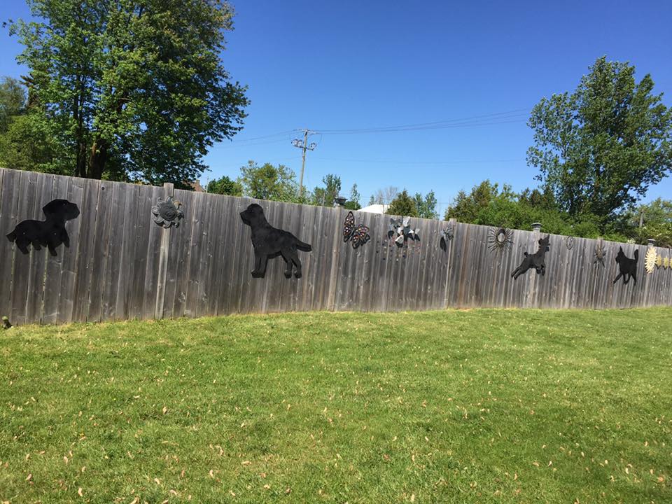 Hobo Haven Rescue | King St N, St. Jacobs, ON N0B 2N0, Canada | Phone: (519) 721-3199
