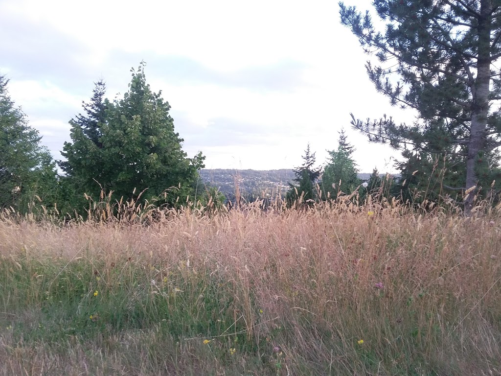 Robson Park | 1420 Pinetree Way, Coquitlam, BC V3E 6A3, Canada | Phone: (604) 927-3000