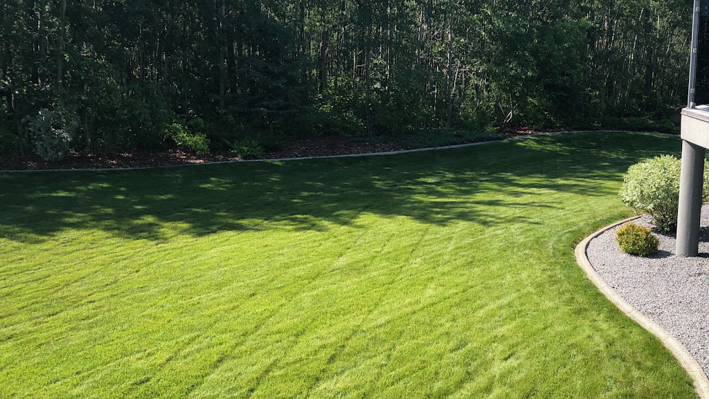Grass barber lawn maintenance Ltd. | 5501 32 St, Mulhurst, AB T0C 2C0, Canada | Phone: (780) 918-0334