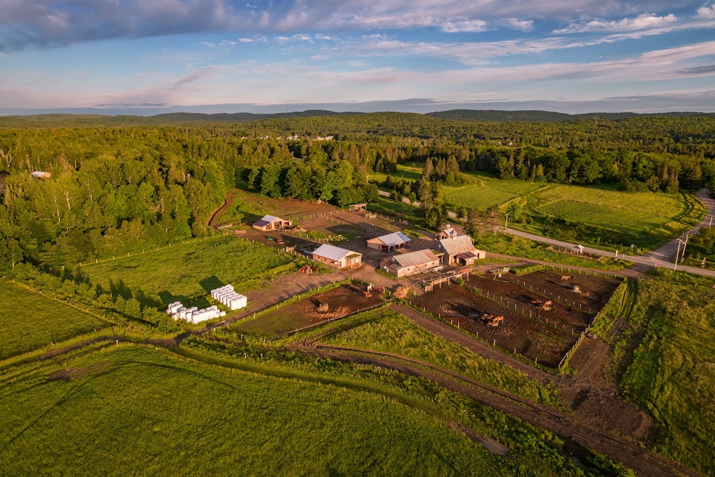 Coop Le Voisinage du bout du monde | 3501 Chem. des Trembles, Saint-Paulin, QC J0K 3G0, Canada | Phone: (819) 268-2555
