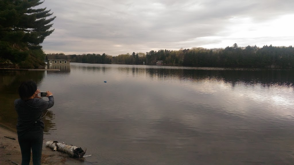 Muskoka Barging | 1130 Milford Bay Rd, Milford Bay, ON P0B 1E0, Canada | Phone: (705) 764-0165