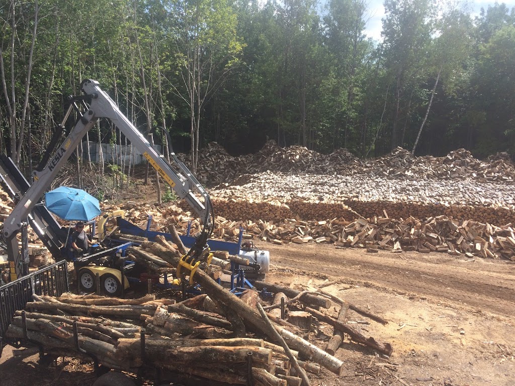 Bois de chauffage Dionne & Dionne Inc. | 9 Chem. des Cèdres, Lac-Beauport, QC G3B 0C7, Canada | Phone: (418) 803-0187