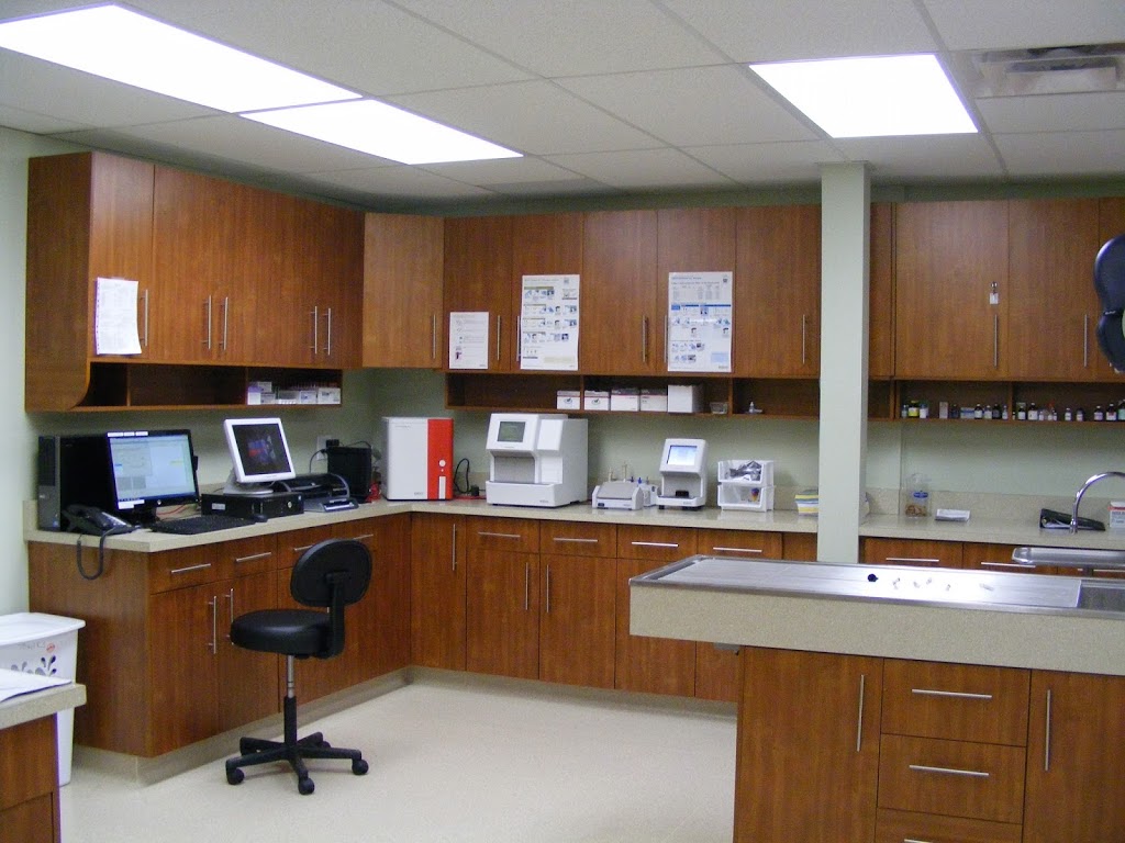 St Norbert Animal Hospital | 3311 Pembina Hwy, Winnipeg, MB R3V 1T7, Canada | Phone: (204) 261-7376