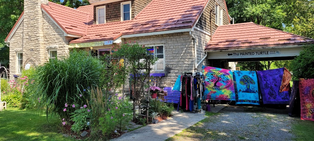 The Painted Turtle and Balloon Headquarters | 499 Berford St, Wiarton, ON N0H 2T0, Canada | Phone: (519) 534-4536