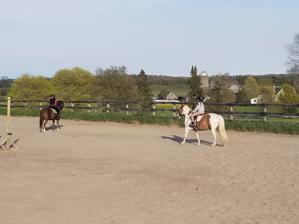 Chestnut Hill Stables | 12510 Concession Rd 7, Leaskdale, ON L0C 1C0, Canada | Phone: (416) 550-3695