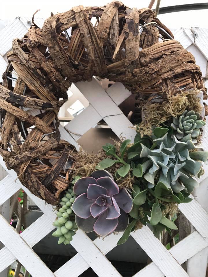 Cedar Ridge Greenhouse | Box 130, Saint Benedict, SK S0K 3T0, Canada | Phone: (306) 231-9081