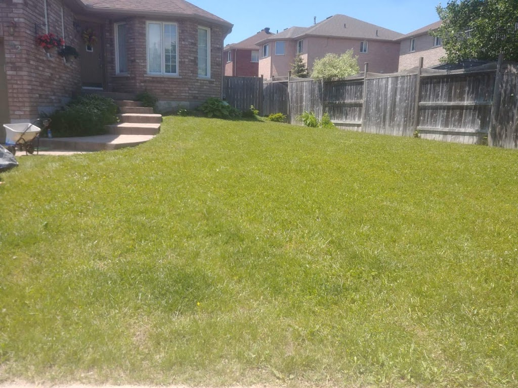 Black Cedar Landscape | 203 Browning Trail, Barrie, ON L4N 5H6, Canada | Phone: (705) 241-3232