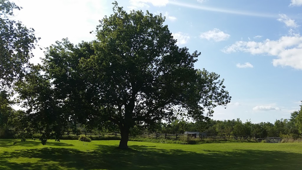 Cedar Patch Farms | 2335 Blessington Rd, Corbyville, ON K0K 1V0, Canada | Phone: (613) 966-4771