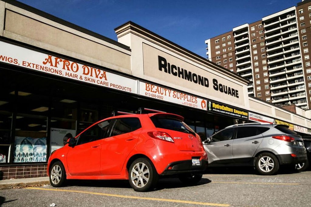 AFRO DIVA | 1315 Richmond Rd, Ottawa, ON K2B 8J7, Canada | Phone: (613) 680-0082