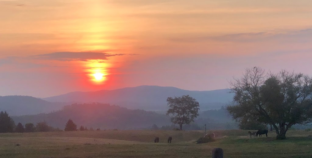 Harmony Acres Holistic Healing | 186 Havergal Rd, Carlow/Mayo, ON K0L 1G0, Canada | Phone: (613) 334-0871