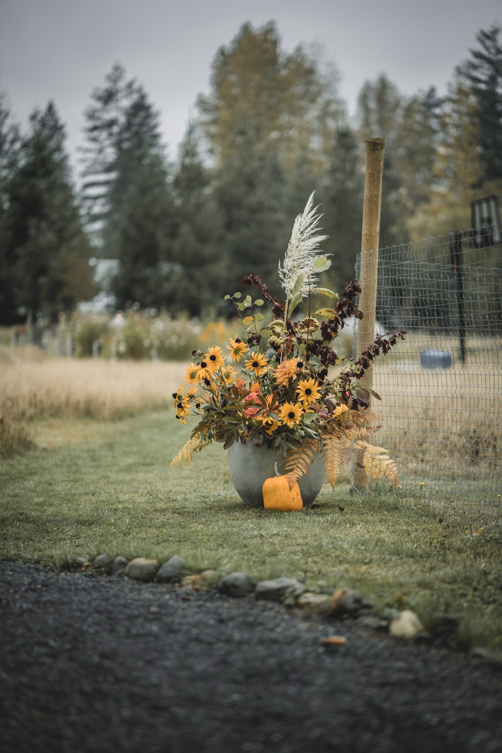 The Creekside | 7931 N Island Hwy, Black Creek, BC V9J 1G8, Canada | Phone: (250) 240-1744