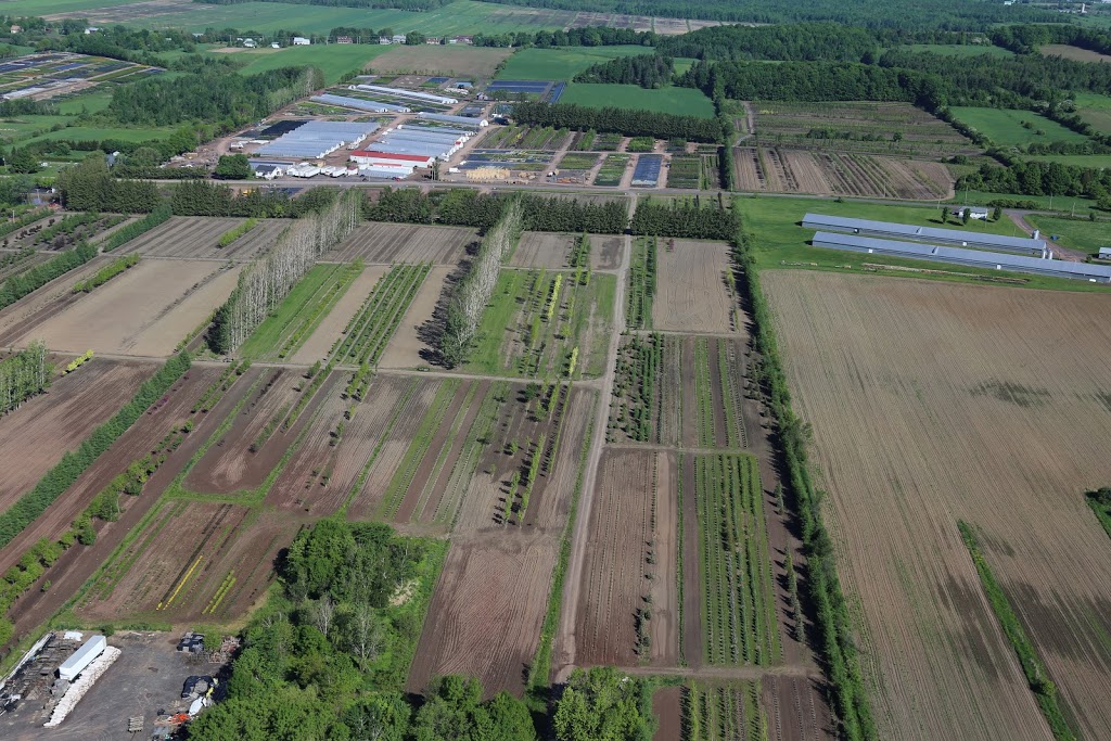 Multiplants | 440 Rang Bois-Franc, Saint-Apollinaire, QC G0S 2E0, Canada | Phone: (418) 881-2477