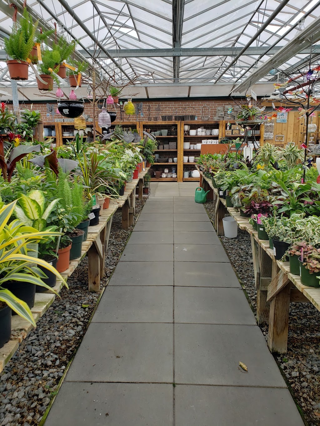 Amsterdam Greenhouses & Garden Centre | 19100 Old Dewdney Trunk Rd, Pitt Meadows, BC V3Y 2R8, Canada | Phone: (604) 465-6614