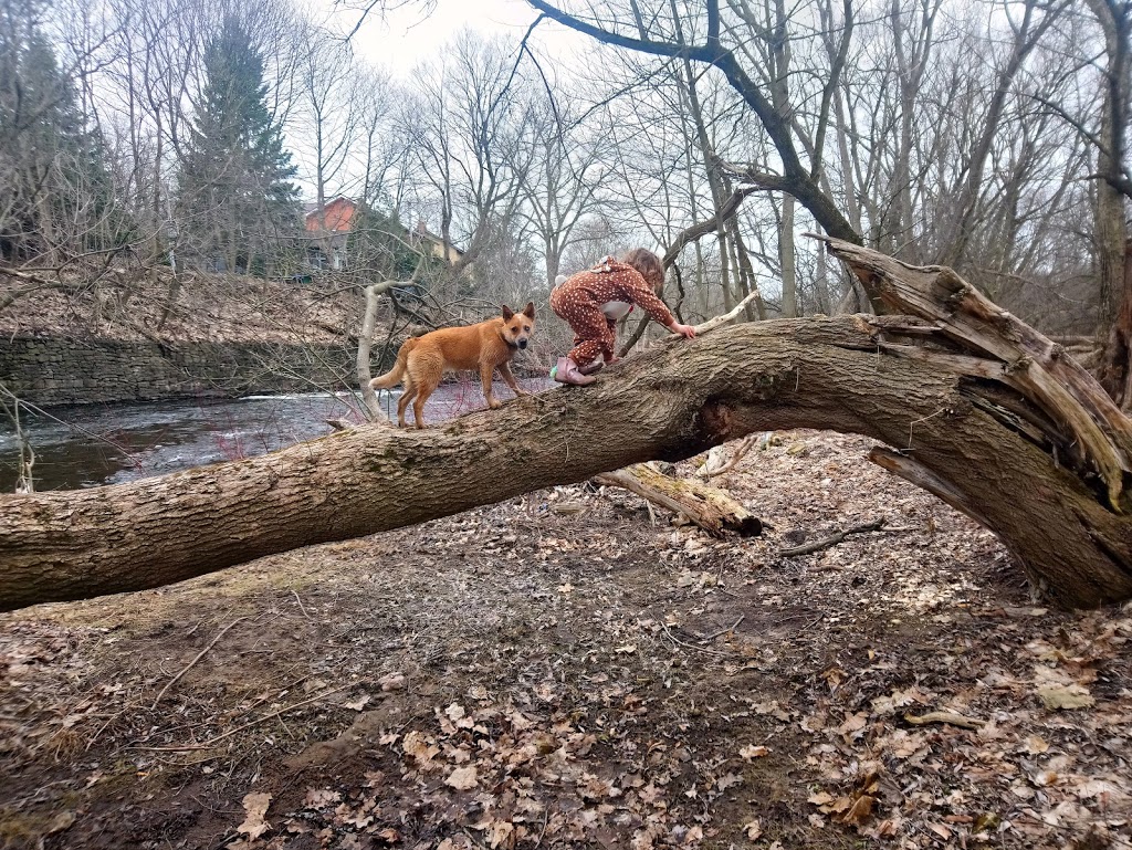 Goldie Mill Park | 75 Cardigan St, Guelph, ON N1H 3Z7, Canada