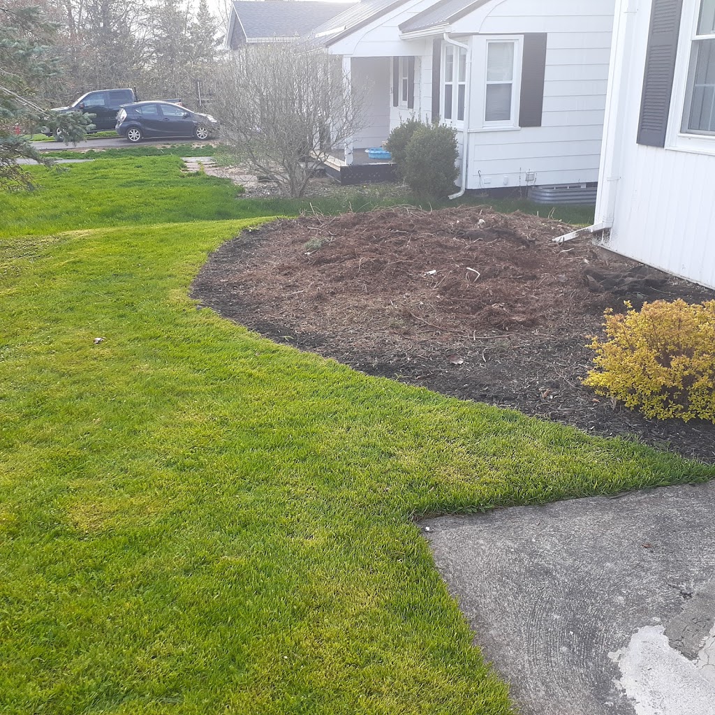 Shaded Tree Service | 10 Mountain Lee Rd, North River, NS B6L 6G8, Canada | Phone: (902) 890-2081