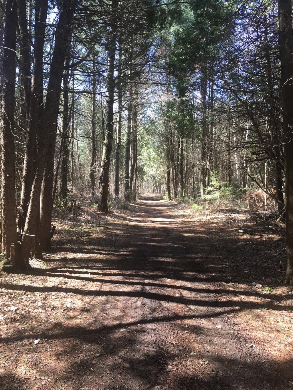Pefferlaw Tract | 24408 Lake Ridge Rd, Pefferlaw, ON L0E 1N0, Canada