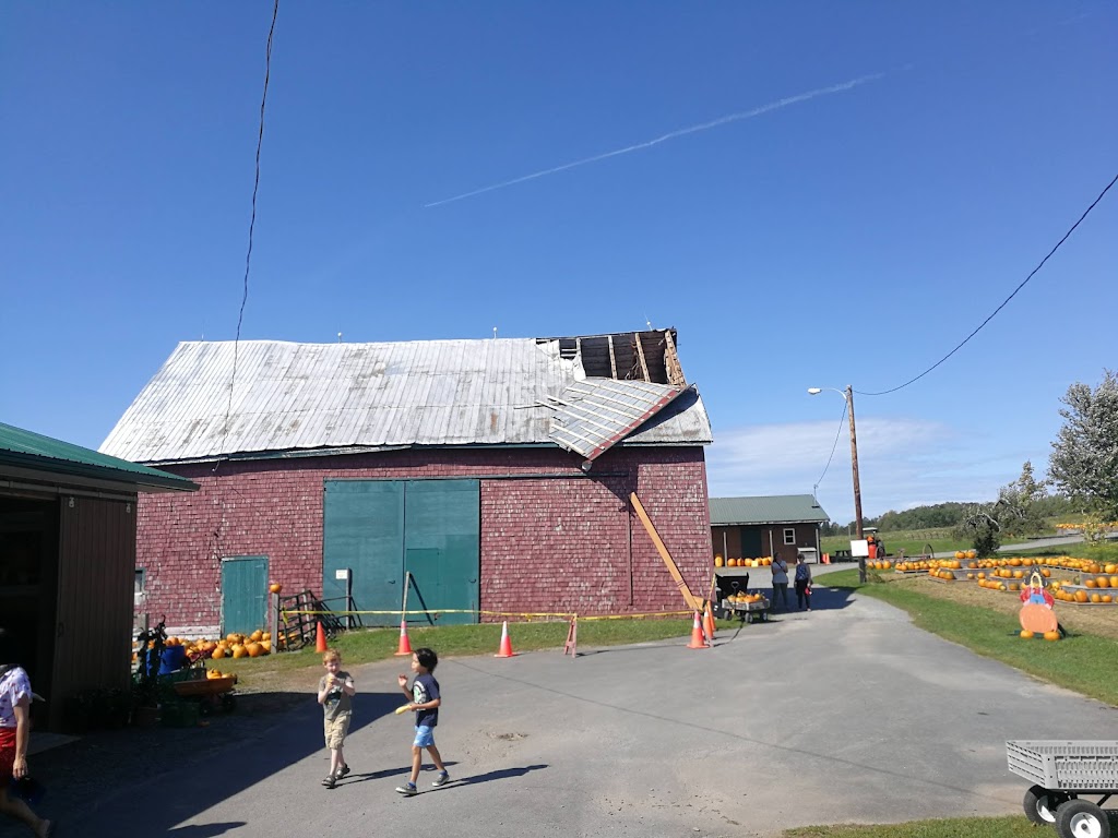 Howard Dill Enterprises | 400 College Rd, Windsor, NS B0N 2T0, Canada | Phone: (902) 798-2728