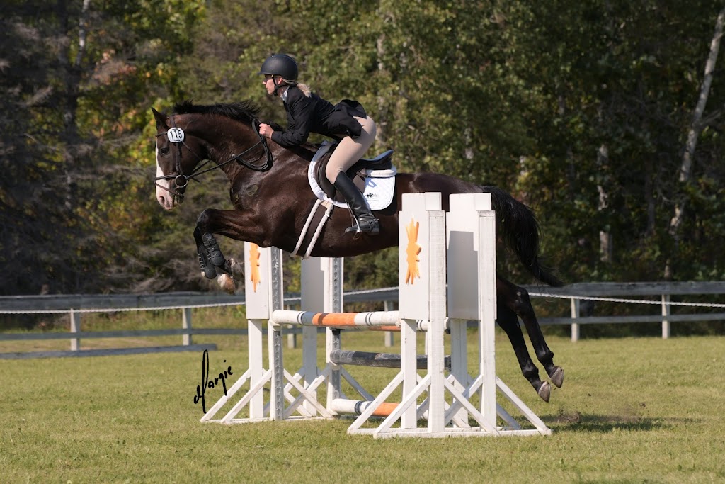 SandyLane Stable | Provincial Rd 207, Oakbank, MB R5N 0H3, Canada | Phone: (204) 793-4584