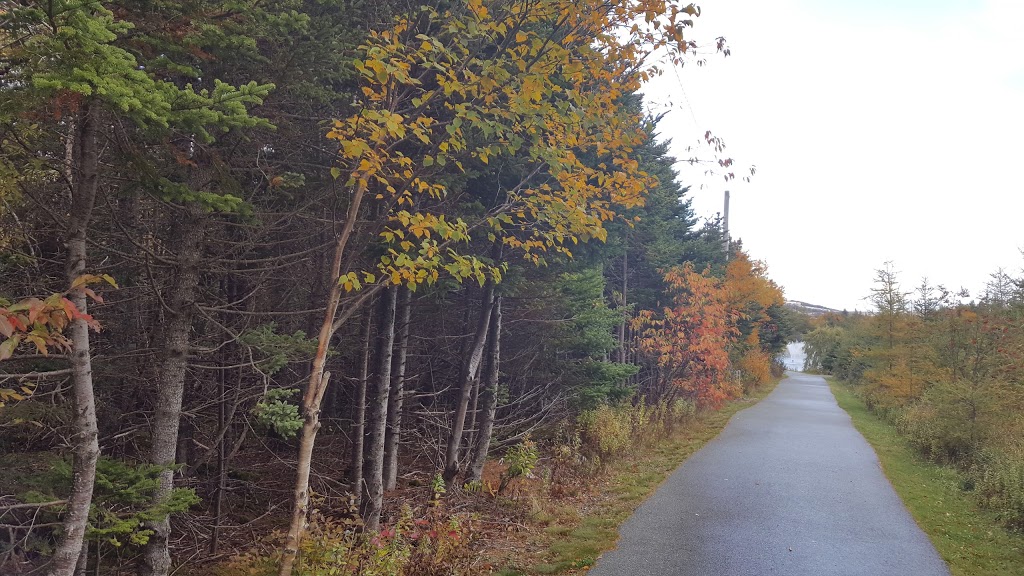 Mount Pearl Dog Park | 43 Clyde Ave, Mount Pearl, NL A1N 4S2, Canada | Phone: (709) 748-1047