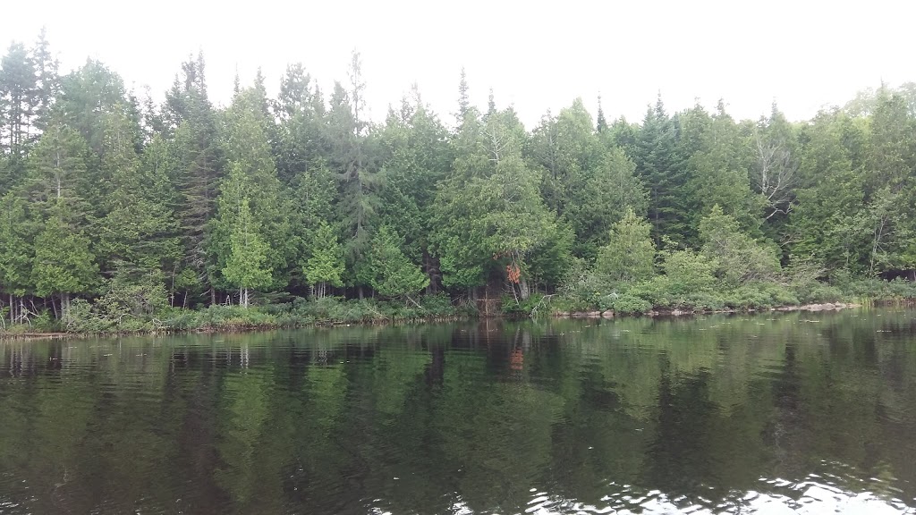 Camping Haut-Des-Côtes | 1490 Chemin du Haut des Côtes, Chénéville, QC J0V 1E0, Canada | Phone: (819) 428-3712