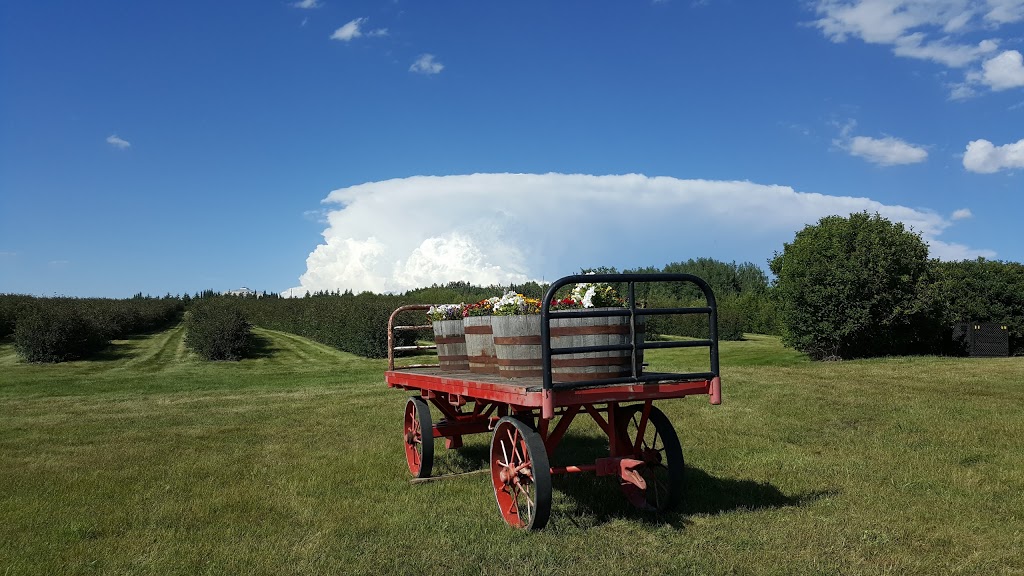 Solstice Berry Farm | 29250 Range Rd 34, Crossfield, AB T0M 0S0, Canada | Phone: (403) 946-4759