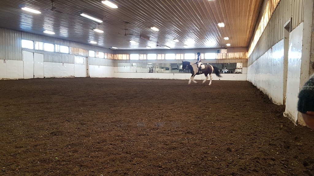 Horizon Equestrian Ctr | Range Rd 43, Cochrane, AB T4C 2J8, Canada | Phone: (403) 542-8677