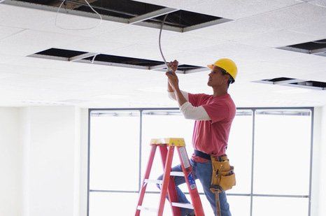 1313 Labour Contracting, Junk Removal, Trucking Services | 32347 Marshall Rd, Abbotsford, BC V2T 1A6, Canada | Phone: (604) 751-1500