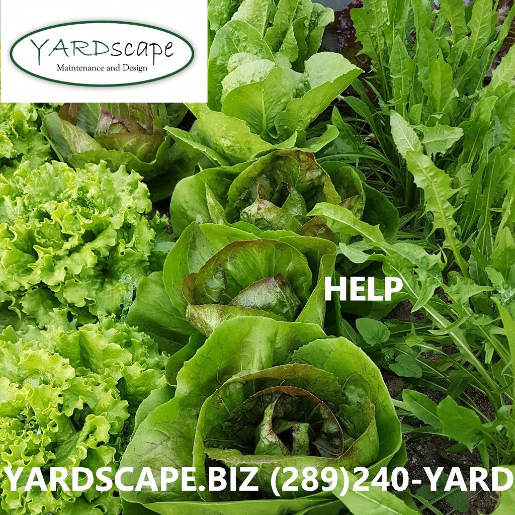 Yardscape Maintenance and Design | 160 Gibb St, Oshawa, ON L1J 1Y5, Canada | Phone: (289) 240-9273