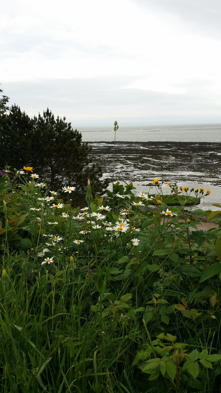Motel La Baleine | 274 Chemin de la Baleine, La Baleine, QC G0A 2A0, Canada | Phone: (418) 438-2453