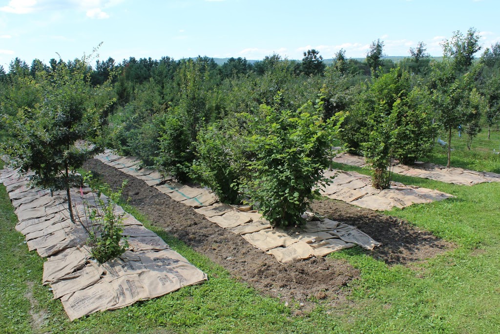 ArborInnov inc. | 2200 QC-222, Saint-Denis-de-Brompton, QC J0B 2P0, Canada | Phone: (819) 679-6689