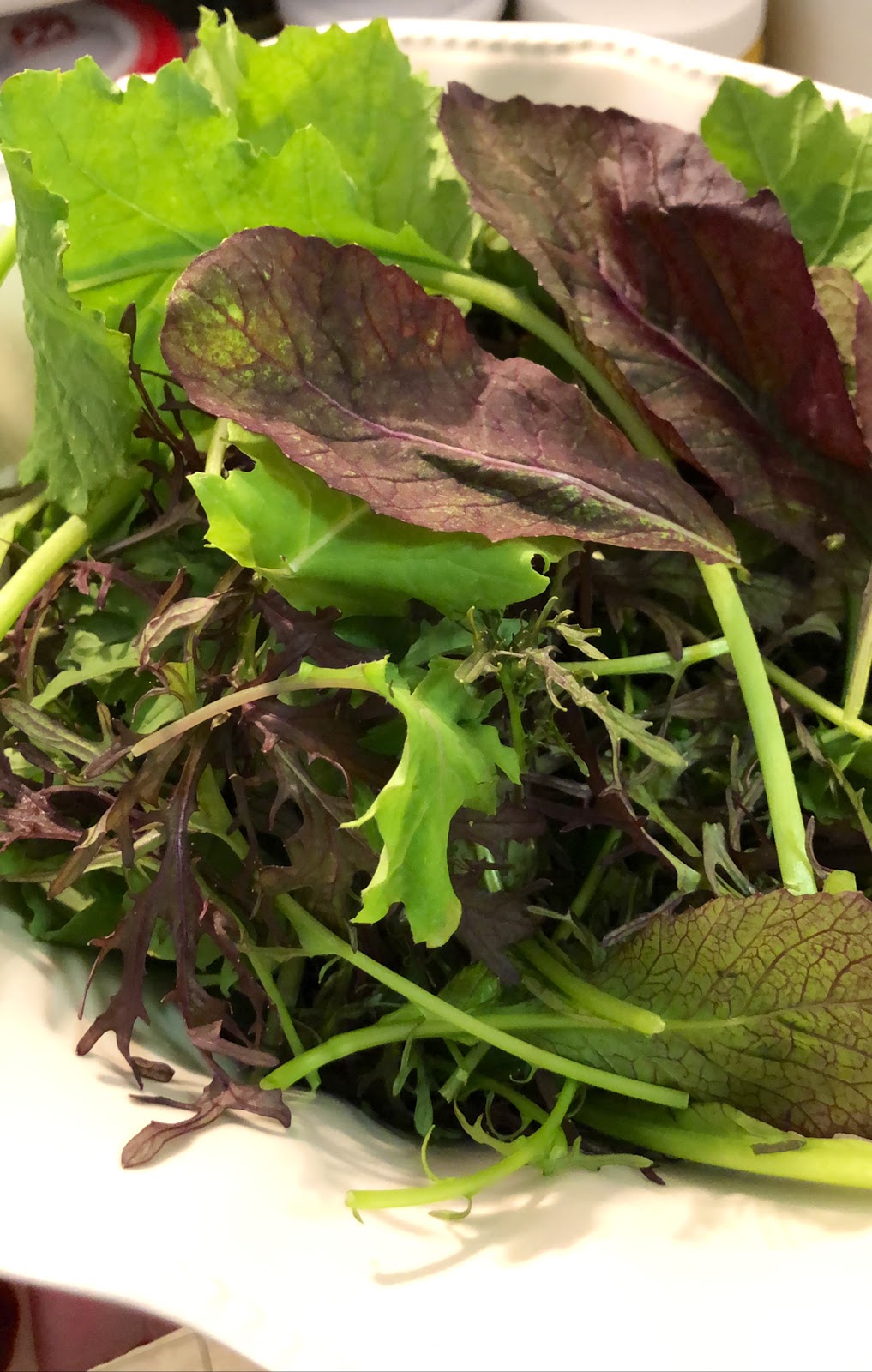 Ottawa Farmers Market: Main | 185 Main St, Ottawa, ON K1S 1C3, Canada | Phone: (613) 417-3595