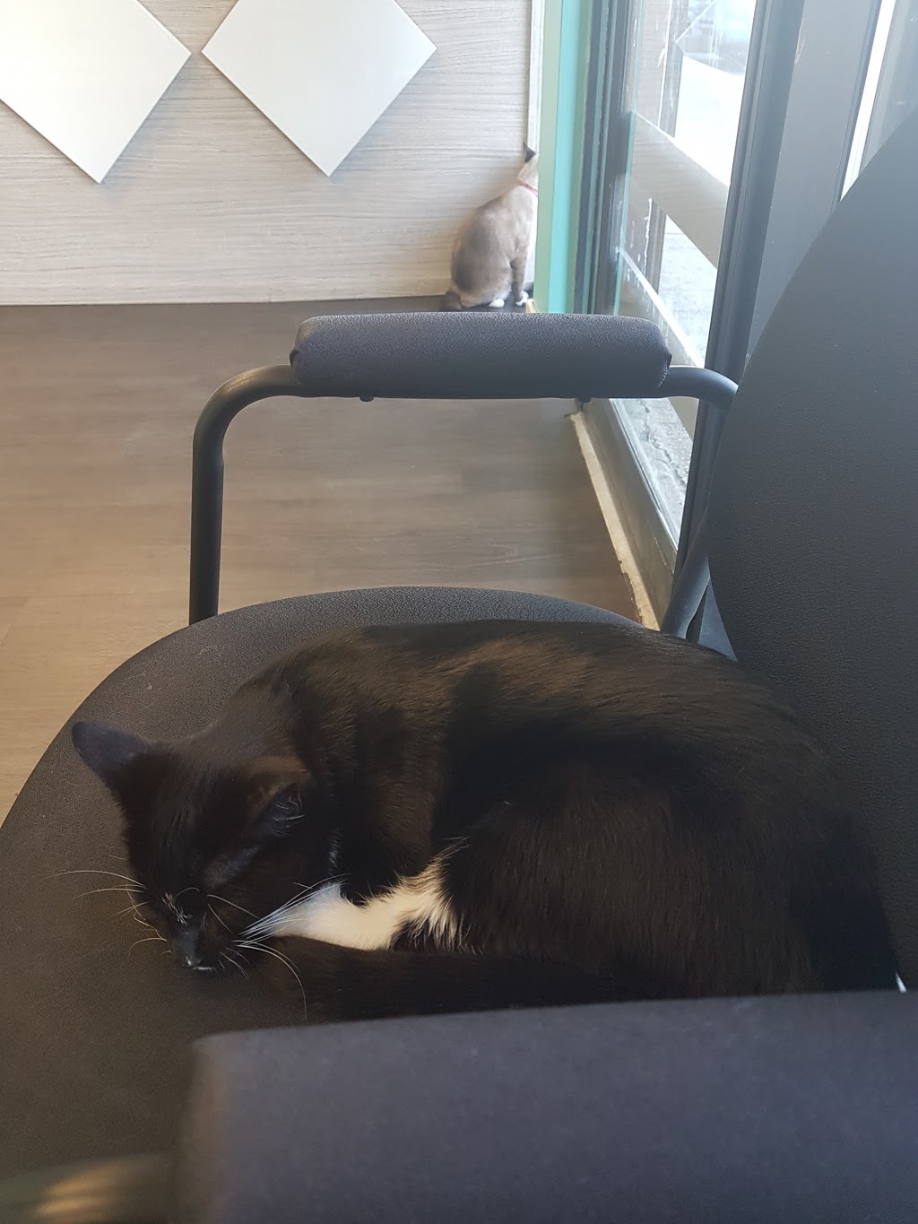 Beddington Trail Animal Hospital | BAY 1, 176 Bedford Dr NE, Calgary, AB T3K 2M9, Canada | Phone: (403) 263-8101