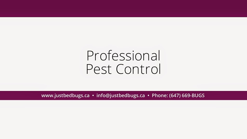 Just Bed Bugs Professional Heat Treatment 140 Martin Ross Ave, North