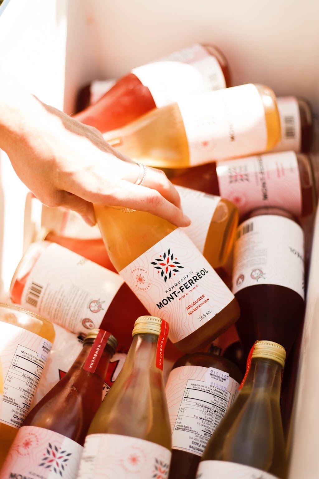 Kombucha du Mont-Ferréol | 140 Rue du Mont Ferréol, Saint-Ferréol-les-Neiges, QC G0A 3R0, Canada | Phone: (418) 476-0853