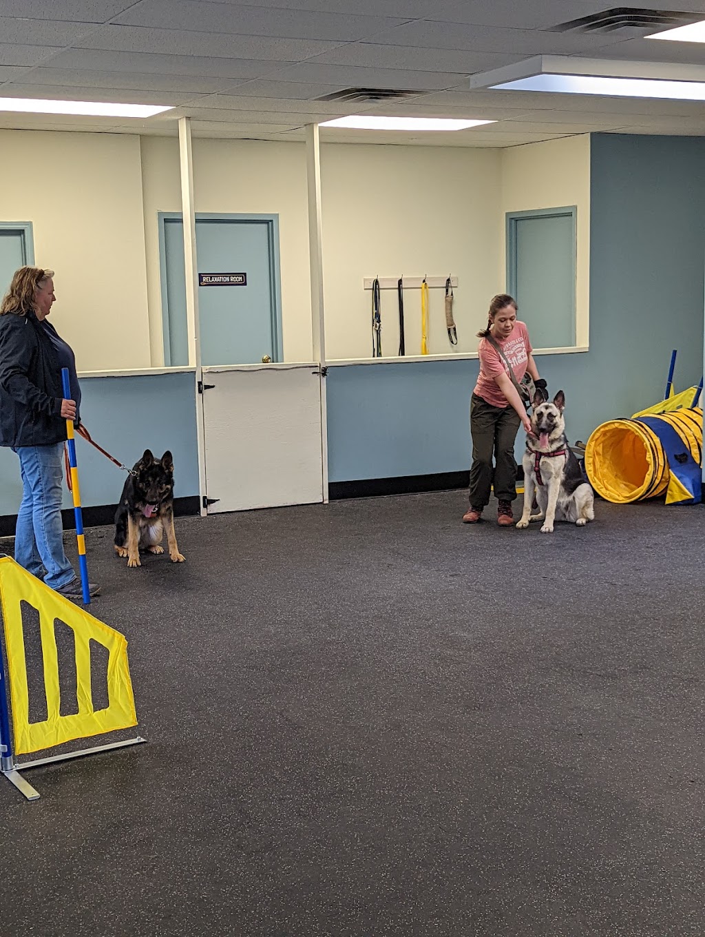 Unified K9 Behaviour Centre | 580 Steven Ct Building B, Unit 11, Newmarket, ON L3Y 6Z3, Canada | Phone: (289) 383-4136