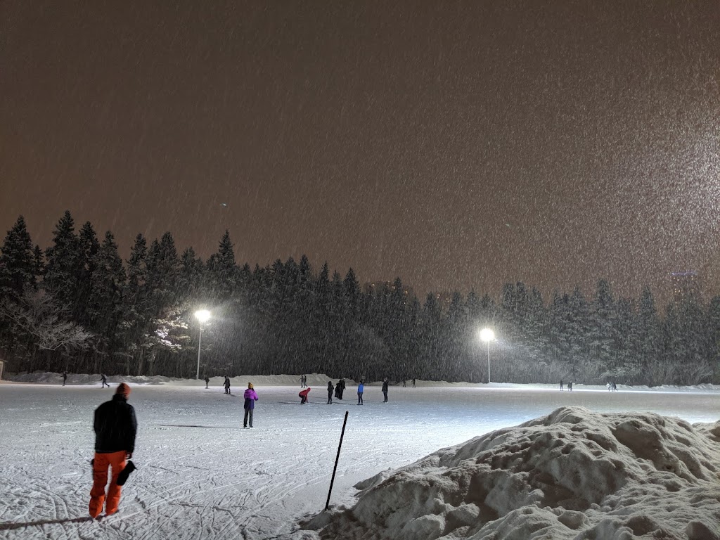 Victoria IceWay Skating Trail | 12030 River Valley Rd NW, Edmonton, AB T5K 1L4, Canada | Phone: (780) 442-5311