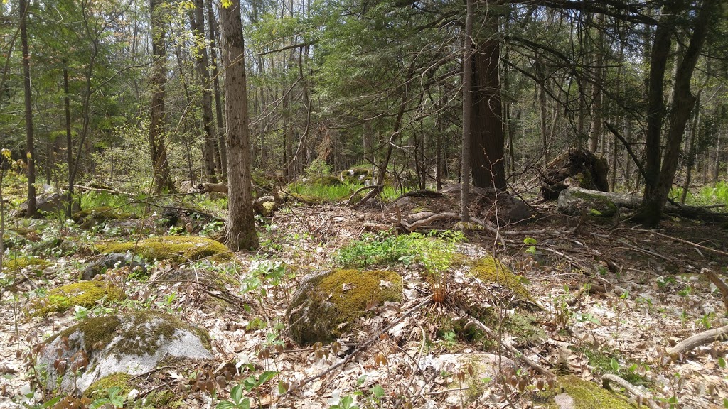 Awenda Provincial Park | Tiny, ON L9M 1R2, Canada
