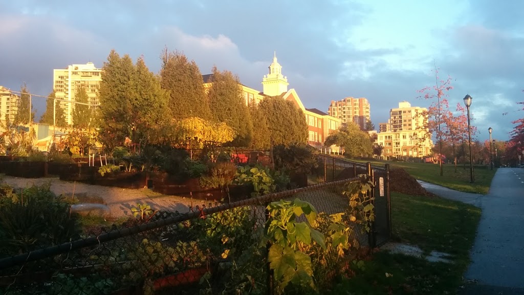 Queen Mary Community Garden | 280 W Keith Rd #200, North Vancouver, BC V7M 2M5, Canada | Phone: (604) 988-2497