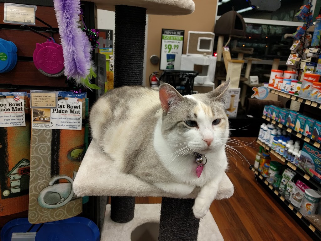 Pet Valu | 50 Sage Creek Blvd, Winnipeg, MB R3X 0J6, Canada | Phone: (204) 257-2724