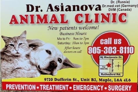 Dr. Asianova Animal Clinic 24/7 Emergency Call | 2-9720 Dufferin St, Maple, ON L6A 4L6, Canada | Phone: (905) 303-8110