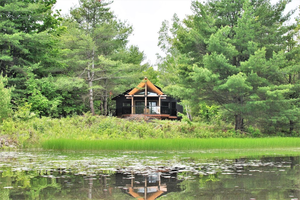 Pine Brae Wilderness Escape | 2112 Elm Grove Rd, Perth, ON K7H 3C7, Canada | Phone: (613) 200-8705