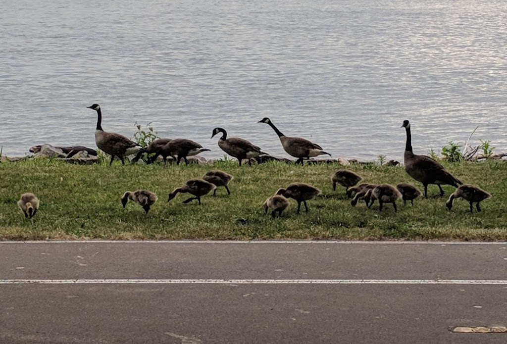 Niawanda Park | 200 Niagara St, Tonawanda, NY 14150, USA | Phone: (716) 505-1172