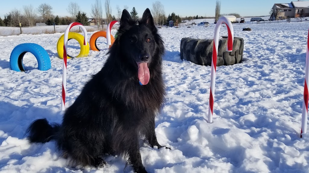 MyWalkies | 17 Dunbow Rd W, De Winton, AB T0L 0X0, Canada | Phone: (403) 921-4415