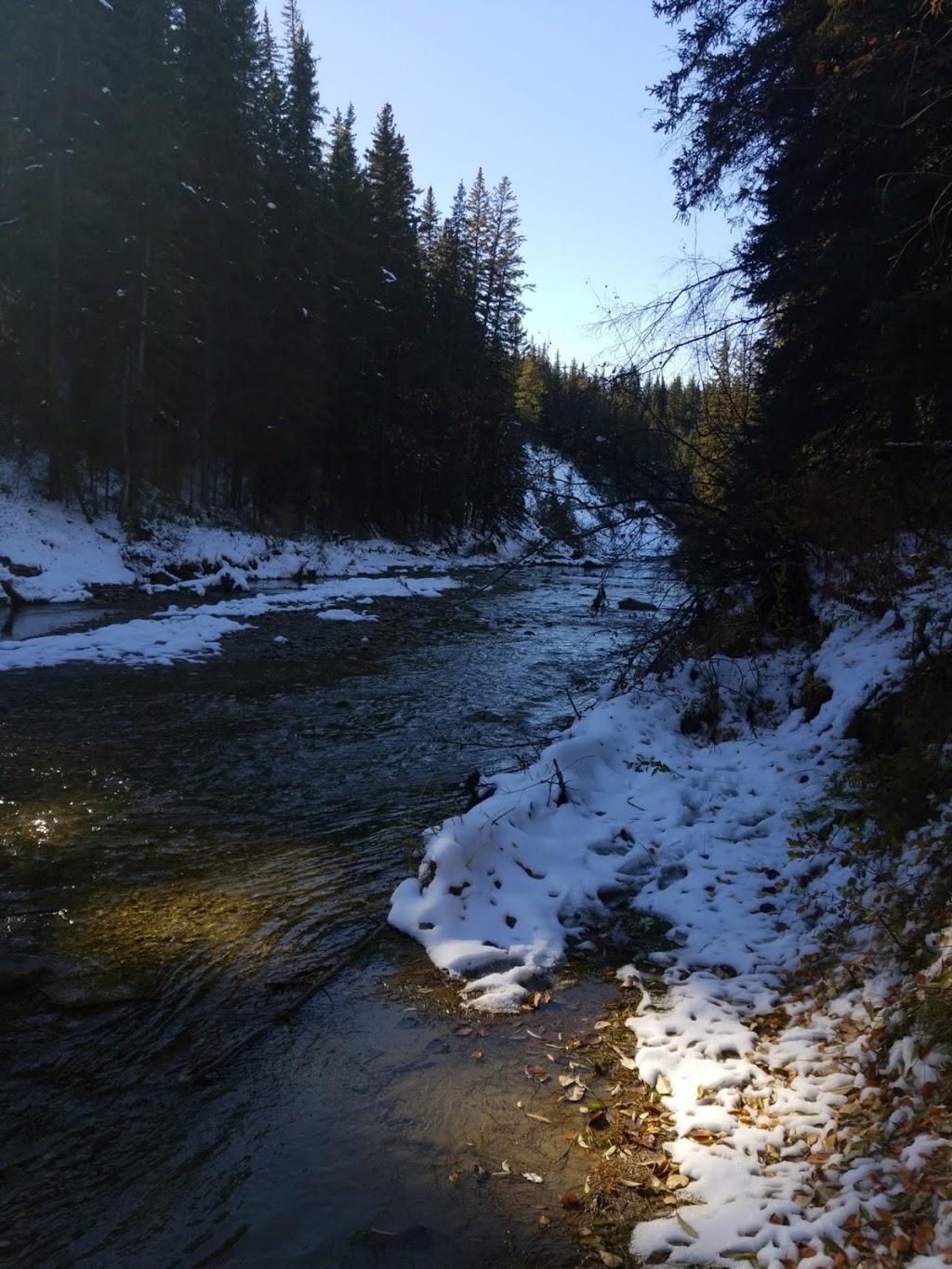 Fish Creek Environmental Learning Center | 15931 Woodpath Rd SW, Calgary, AB T2W 5M1, Canada