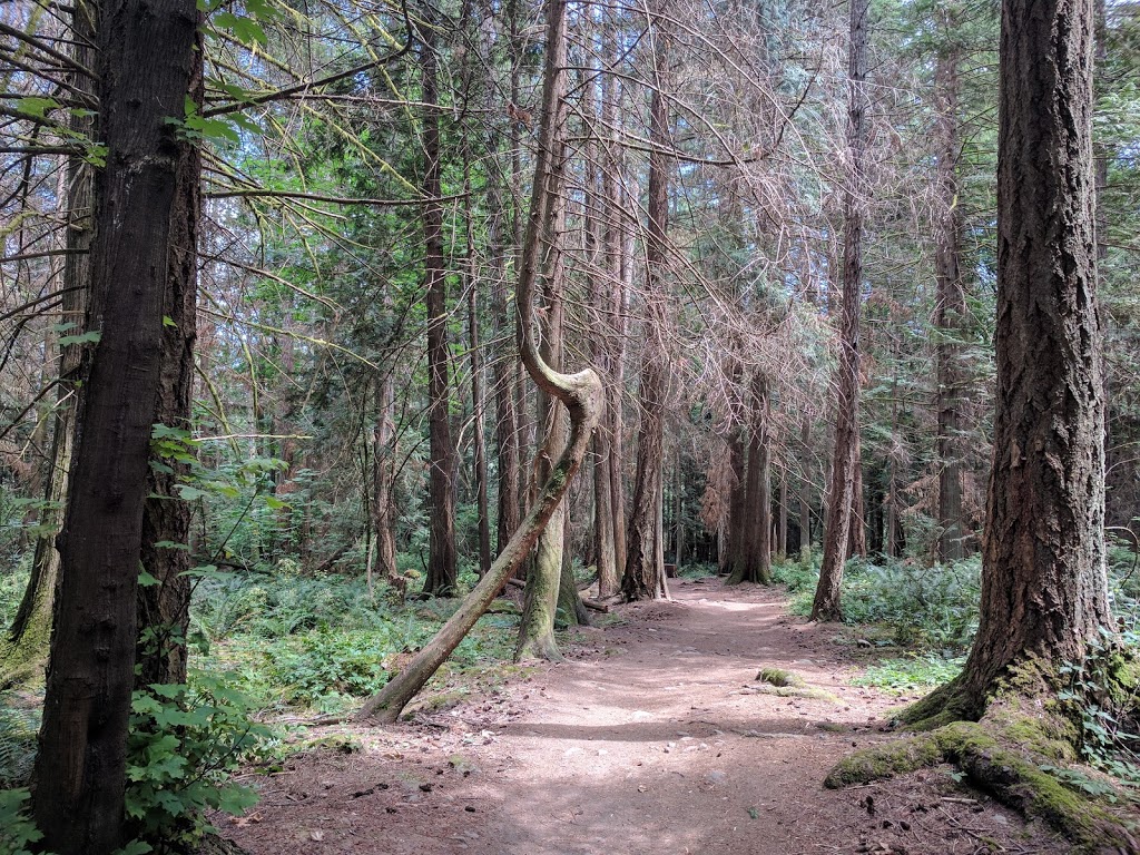 Roberts Memorial Provincial Park | 3122 Yellow Point Rd, Ladysmith, BC V9G 1C5, Canada | Phone: (250) 474-1336