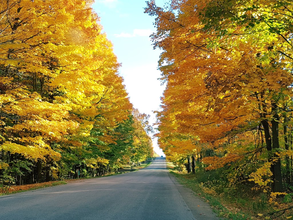 Palgrave Park | 17255 Mt Hope Rd, Palgrave, ON L7E 3L9, Canada | Phone: (905) 584-2272